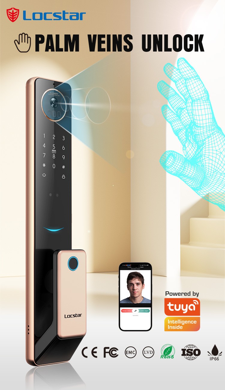 LS-S61 Smart Door Lock